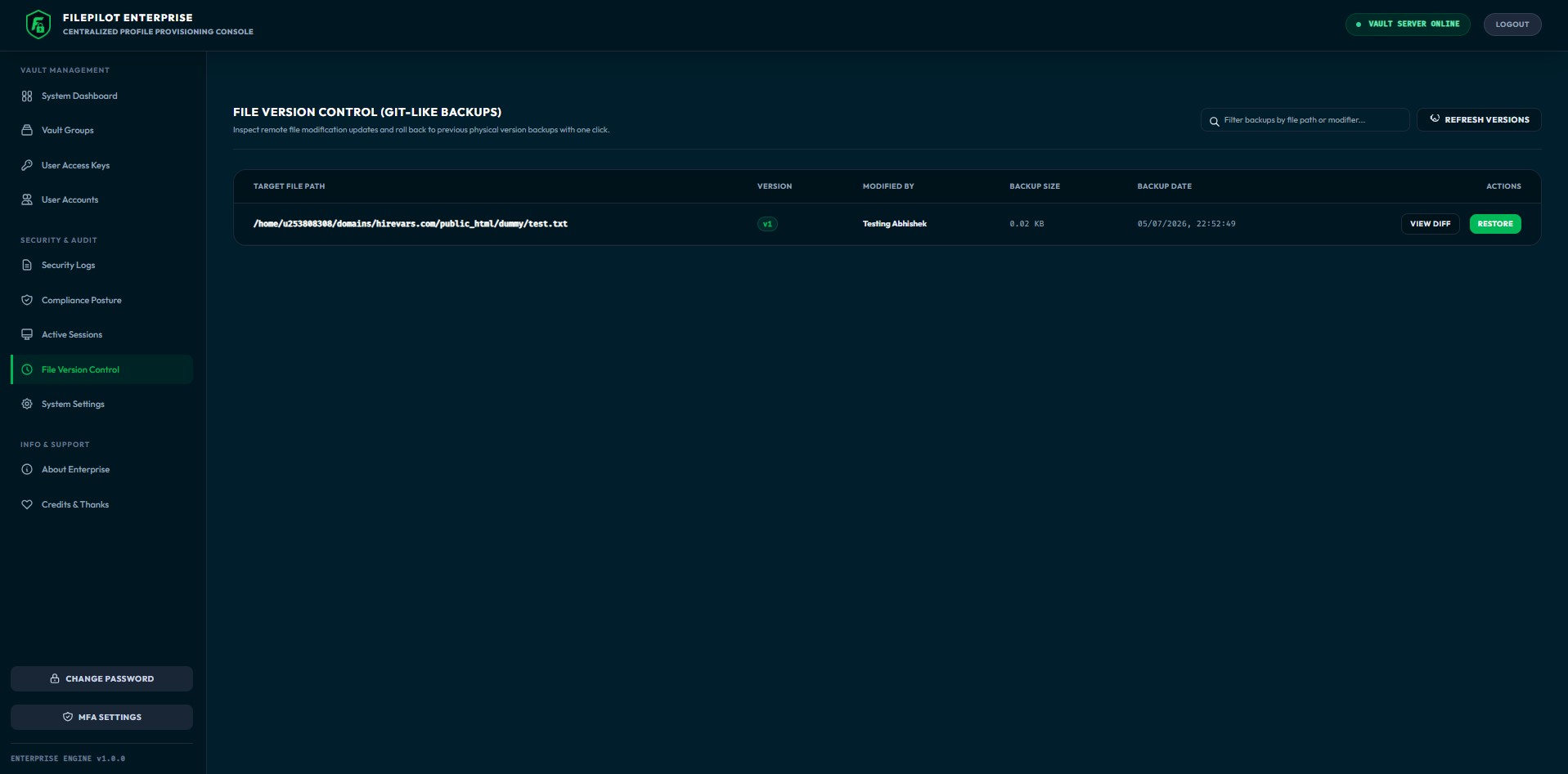 File Version History & Revert